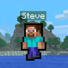 a steve character in a minecraft game