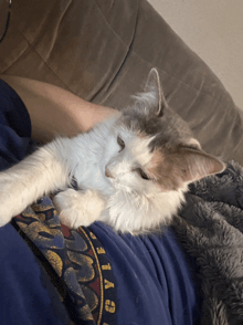 a cat laying on a person 's stomach wearing a shirt that says cyle