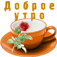 a cup of coffee with a red rose on a saucer and the words доброе утро written above it