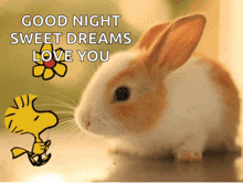 a picture of a rabbit with the words good night sweet dreams love you on it