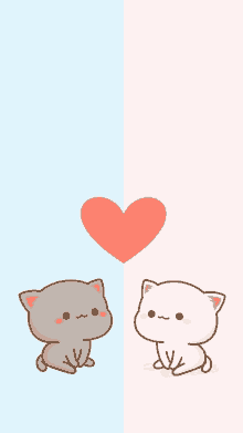 two cats are sitting next to each other on a blue and pink background with a heart between them .