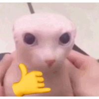 a person is holding a hairless cat and giving it a thumbs up sign .