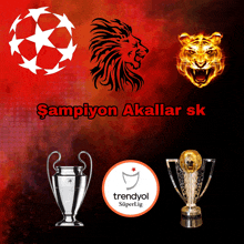 a poster with trophies and a lion and the words sampiyon akallar sk on it