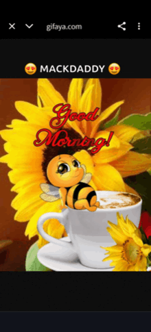 a picture of a bee sitting on a cup of coffee with the words good morning