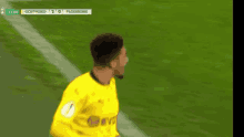 a soccer player in a yellow jersey is celebrating a goal on the field .