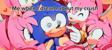 a cartoon of sonic the hedgehog and amy rose with the words me when i dream about my crush