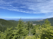 a view of a valley with trees and a blue sky