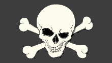 a skull and crossbones on a dark background