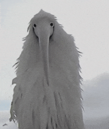 a bird with a long beak is standing in the snow .