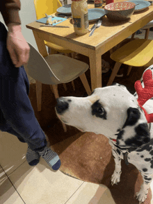 a dalmatian dog standing in front of a wooden table with a jar of mustard on it