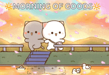 a cartoon of two cats with the words morning of goods below them