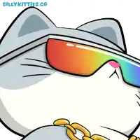 a cartoon of a cat wearing sunglasses and a gold chain says sillykitties.co