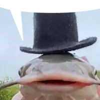 a fish wearing a top hat with a speech bubble in the background