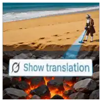 a man is using a metal detector on a beach with a show translation button above him