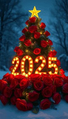 a christmas tree made out of red roses with the number 2025 on top