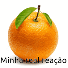 an orange with a green leaf and the words minhareal reacao written below it