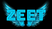 the word zeet is displayed with blue wings