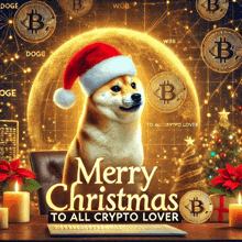 a dog wearing a santa hat with the words merry christmas to all crypto lover below it