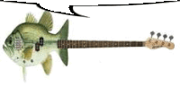 a bass guitar that looks like a fish with a speech bubble .