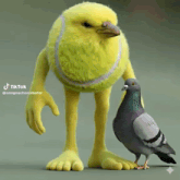 a stuffed tennis ball standing next to a pigeon with a tiktok watermark