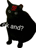 a black cat with the words ok and written on its face