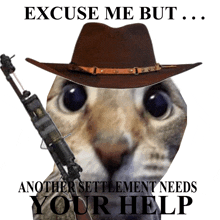 a cat wearing a cowboy hat and holding a gun says excuse me but