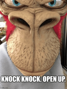 a picture of a monkey with the words knock knock open up below it