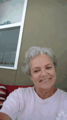 a woman in a pink shirt smiles for the camera in front of a window