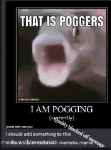 a meme that says that is poggers i am pogging currently