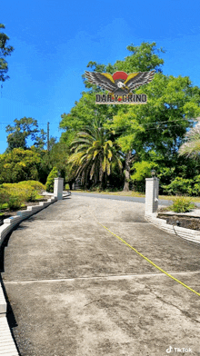 a picture of a driveway with a daily grind logo on it