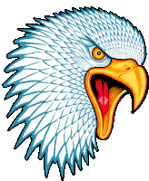 a drawing of a bald eagle 's head with its beak open