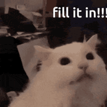 a white cat is sitting in front of a table with the words `` fill it in ! '' written on it .