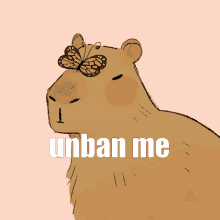 a drawing of a capybara with a butterfly on its head and the words " unban me " on the bottom