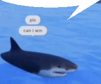 a shark is swimming in the water with a speech bubble that says pls can i win