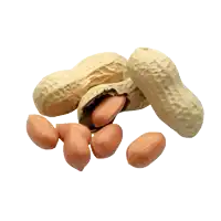 a bunch of peanuts in their shells on a white surface