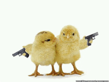 two chicks are holding guns in their hands and one is angry