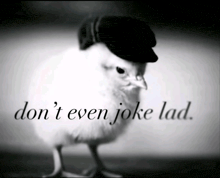 a black and white photo of a chicken wearing a hat with the words " don t even joke lad " below it