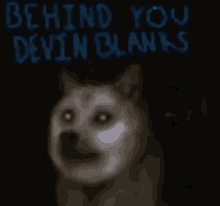 a doge with the words behind you devin blanks written in blue