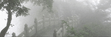 a bridge in the fog with a few trees in the background