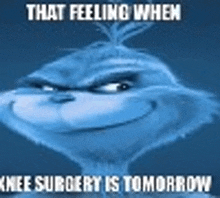 a cartoon character is smiling and says `` that feeling when knee surgery is tomorrow `` .