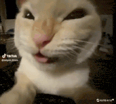 a close up of a cat 's face with its tongue sticking out and a tiktok watermark