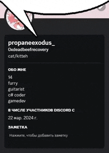 a screenshot of a person 's profile on a discord channel