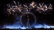 a ferris wheel is surrounded by fireworks in the night sky