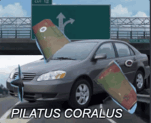 a picture of a car with the word pilatus coralus on the bottom