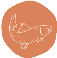 a drawing of a fish in a circle on a red background .