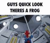 guys quick look there 's a frog on the bottom of the image