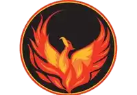 a phoenix is surrounded by flames in a red circle