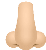 a cartoon illustration of a human nose with a white background