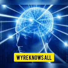 a picture of a person 's brain with the words " wyreknows all " on the bottom