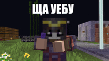 a minecraft character is standing in a field with the words " sha yeby " on the top